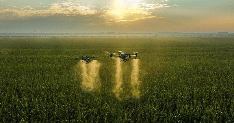 Agricultural drone spraying a crop field