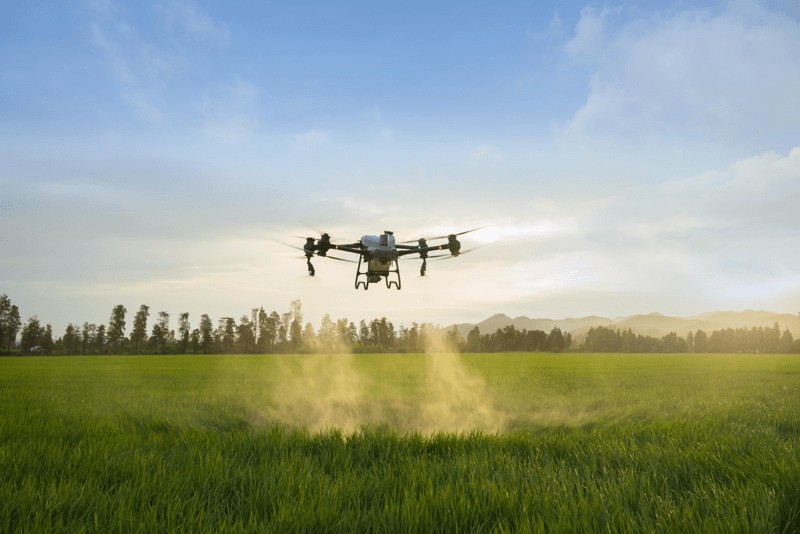 Agricultural drone spraying a crop field