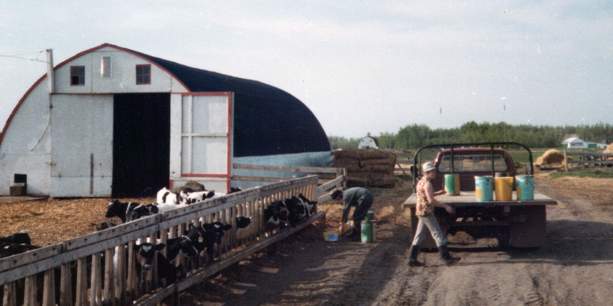 Farm chores with pails and a morning barn scene